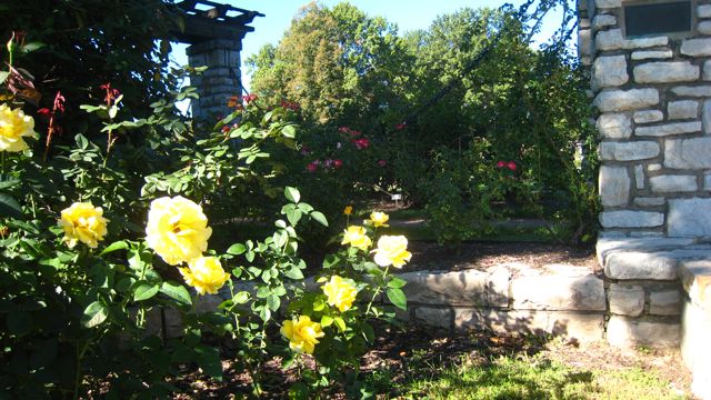 Loose Park Rose Garden Is Prime Time At Home In Kansas City With