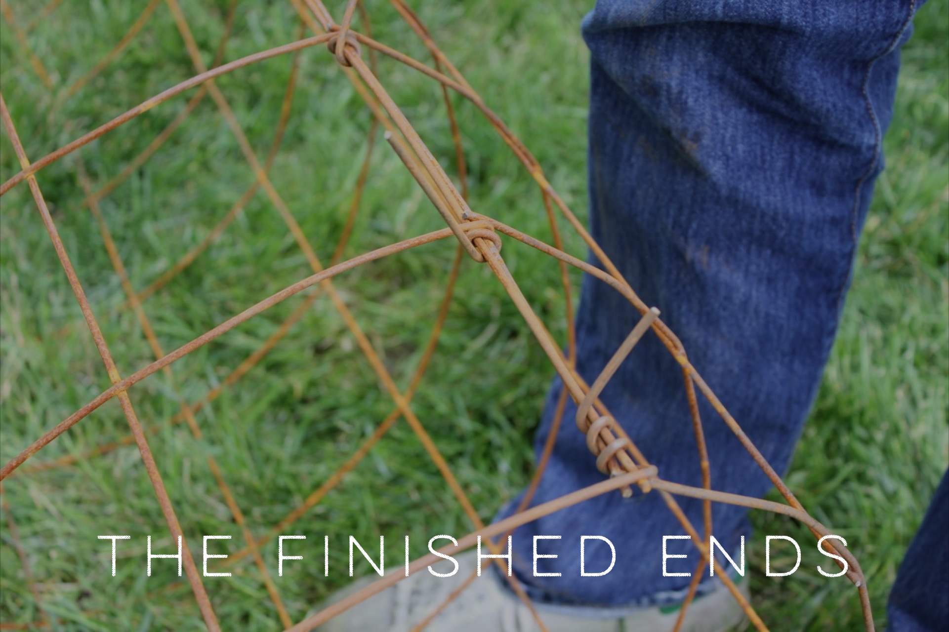 How to Make The Best Tomato Cages In Kansas City (or Anywhere Else)