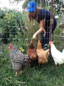 photo of lady feeding four chickens